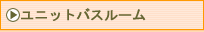 ���j�b�g�o�X���[���{�H��