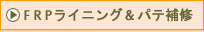 �e�q�o���C�j���O��C�{�H��